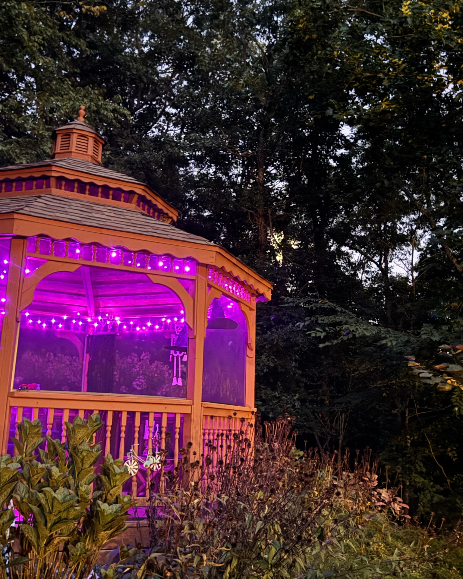 Halloween decor! Second year I’ve decorated the inside of my backyard gazebo for holidays. So fun!

#LTKSeasonal #LTKHome