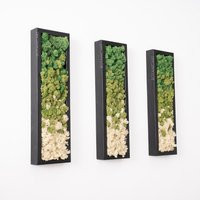 Moss Wall Art | Decor Preserved Framed Sets No Maintenance Required ""Living"" ~ ""Moss Mix | Etsy (CAD)