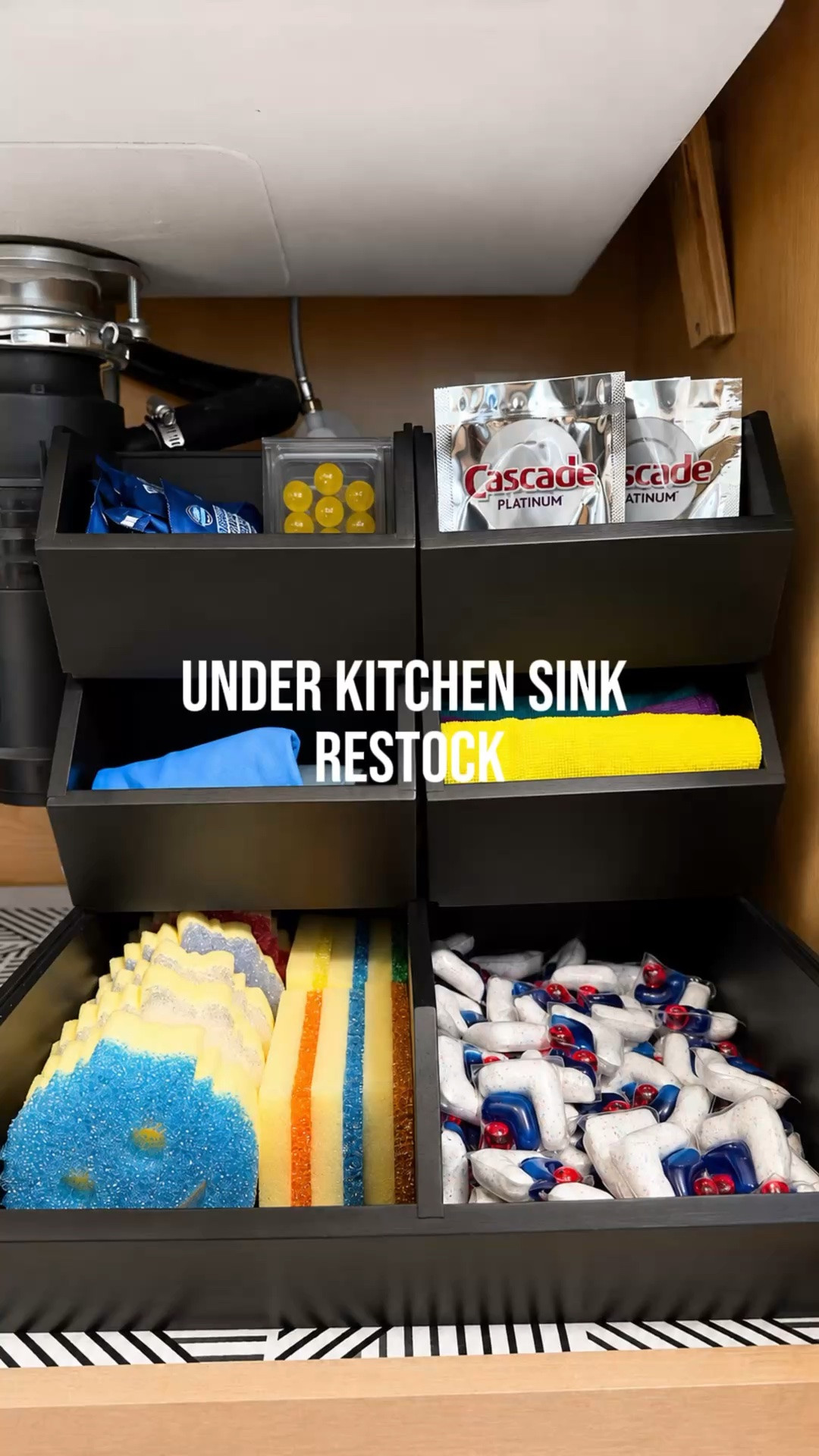 Under Kitchen Sink organization #organization #home #kitchen #cleaning

#LTKmomlife #LTKHome