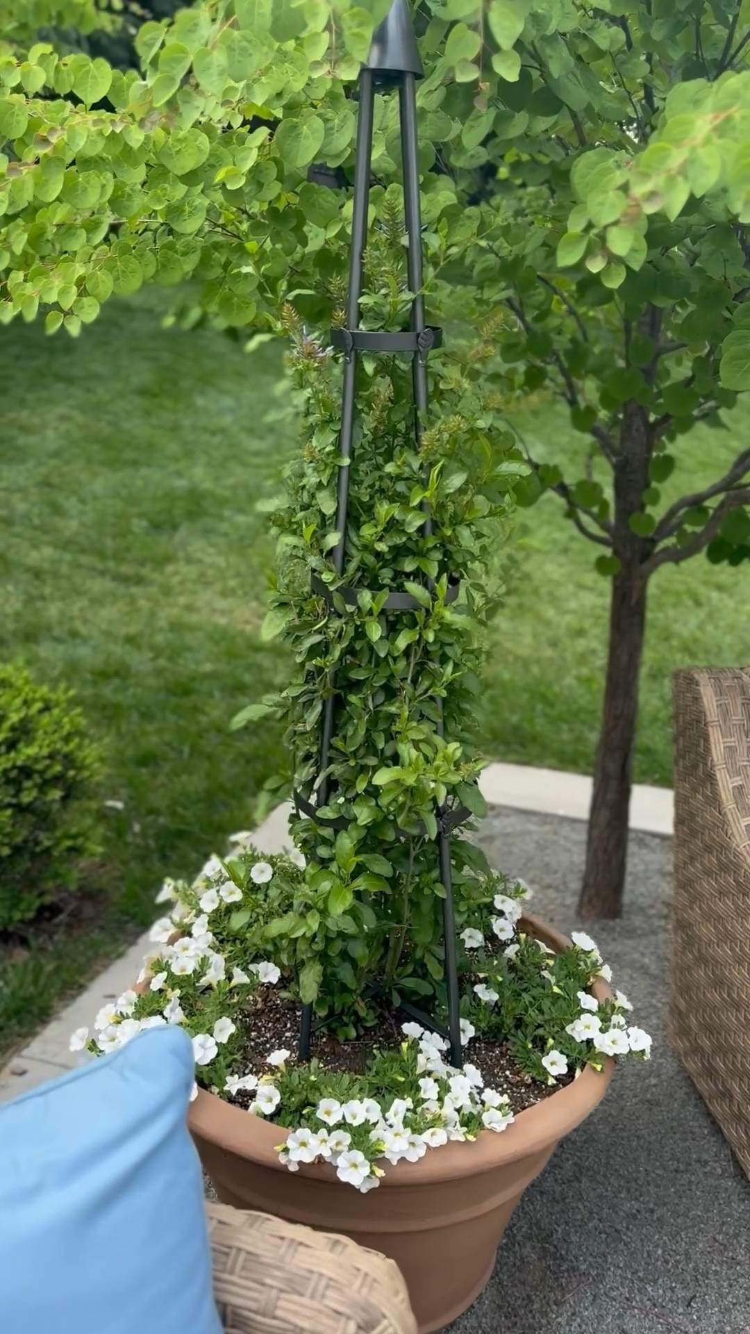 Outdoor planters, obelisk, patio planter, terracotta 

#LTKHome #LTKSummerEdit #LTKSeasonal