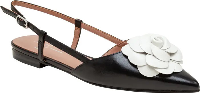 Linea Paolo Cammy Slingback Pointed Toe Flat (Women) | Nordstrom | Nordstrom