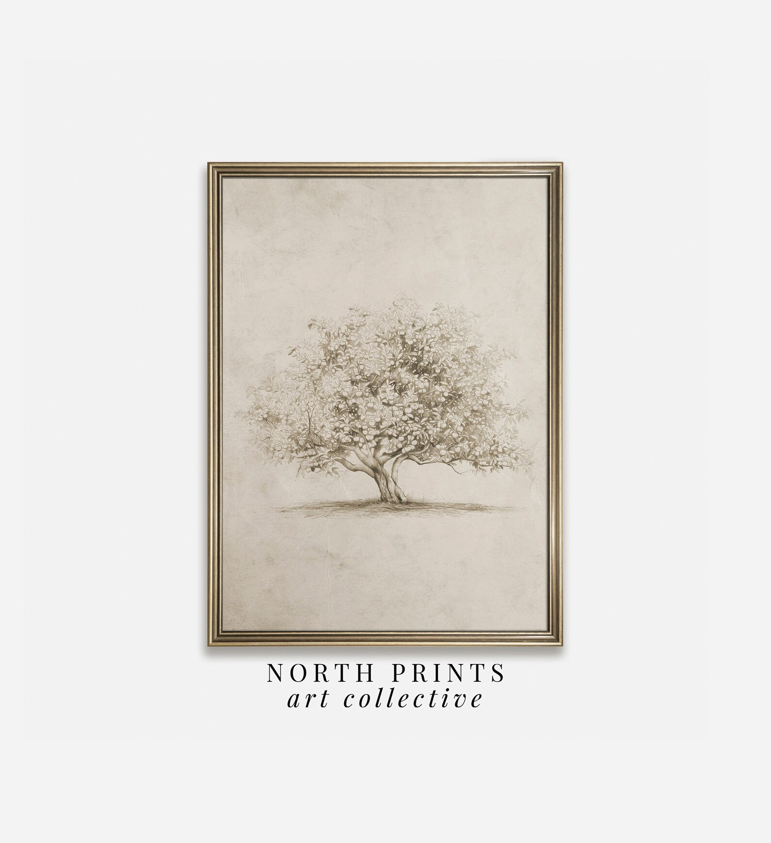PRINTABLE Fall Art Apple Tree Sketch Neutral French Country Art Print Minimalist Kitchen Art Digi... | Etsy (US)