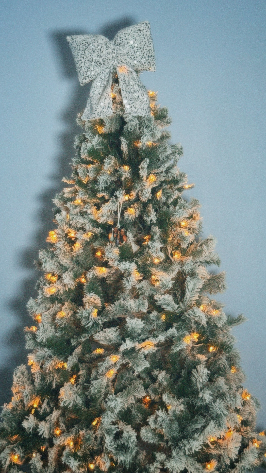 Flocked Christmas Tree is too cuteee! 