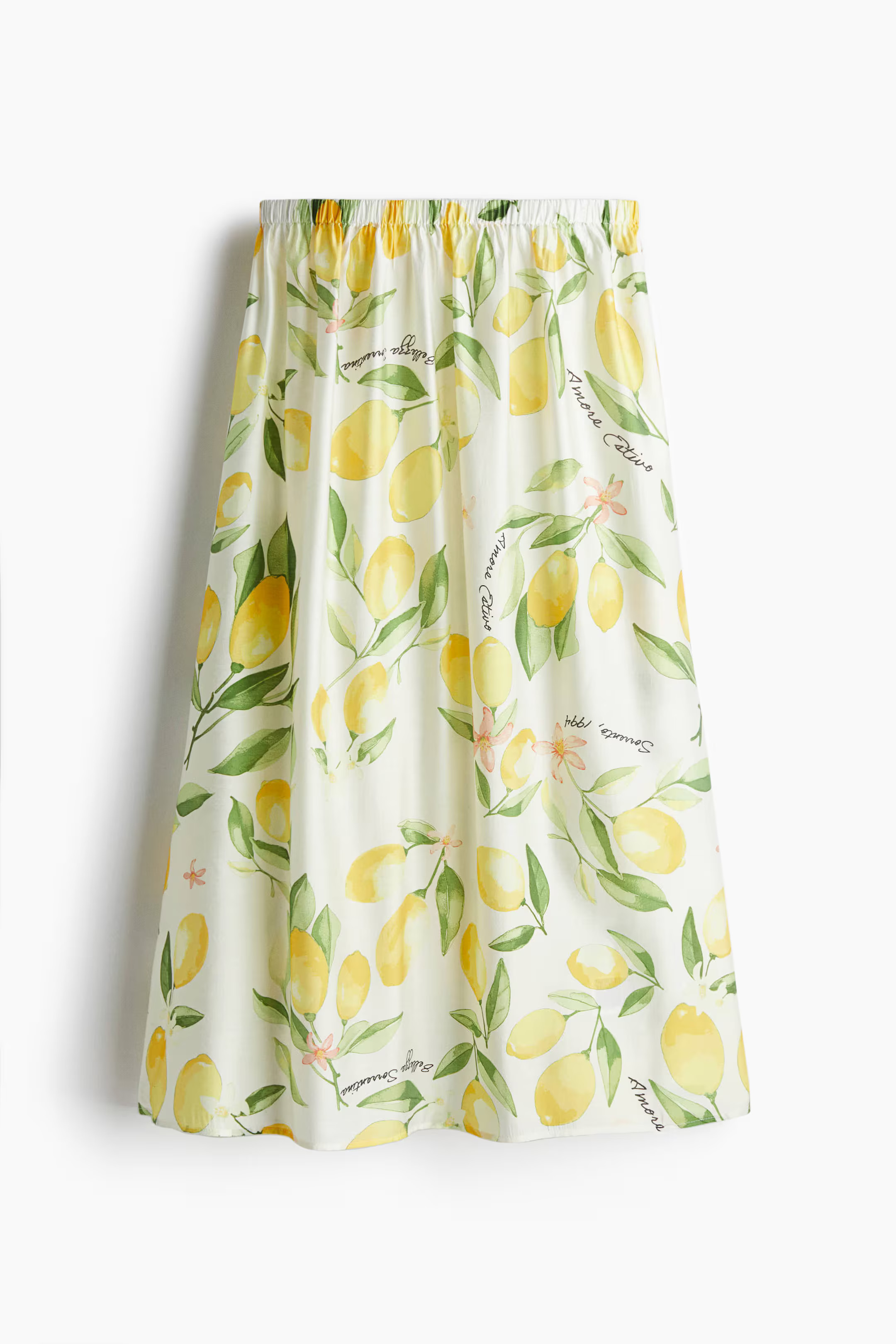 Flared Skirt | H&M (US + CA)