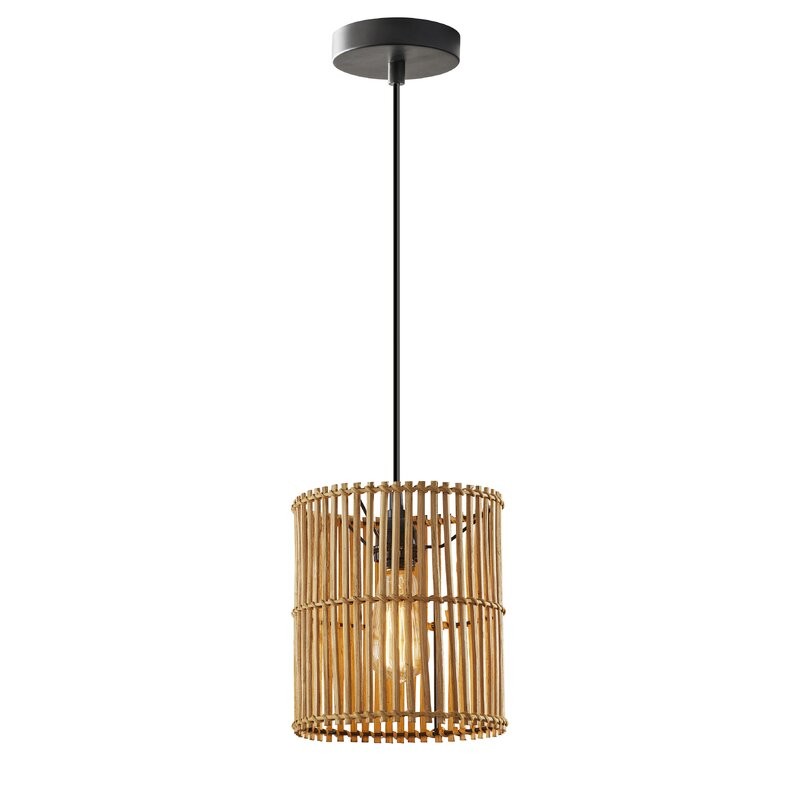 Alessio 1-Light Drum Pendant | Wayfair North America