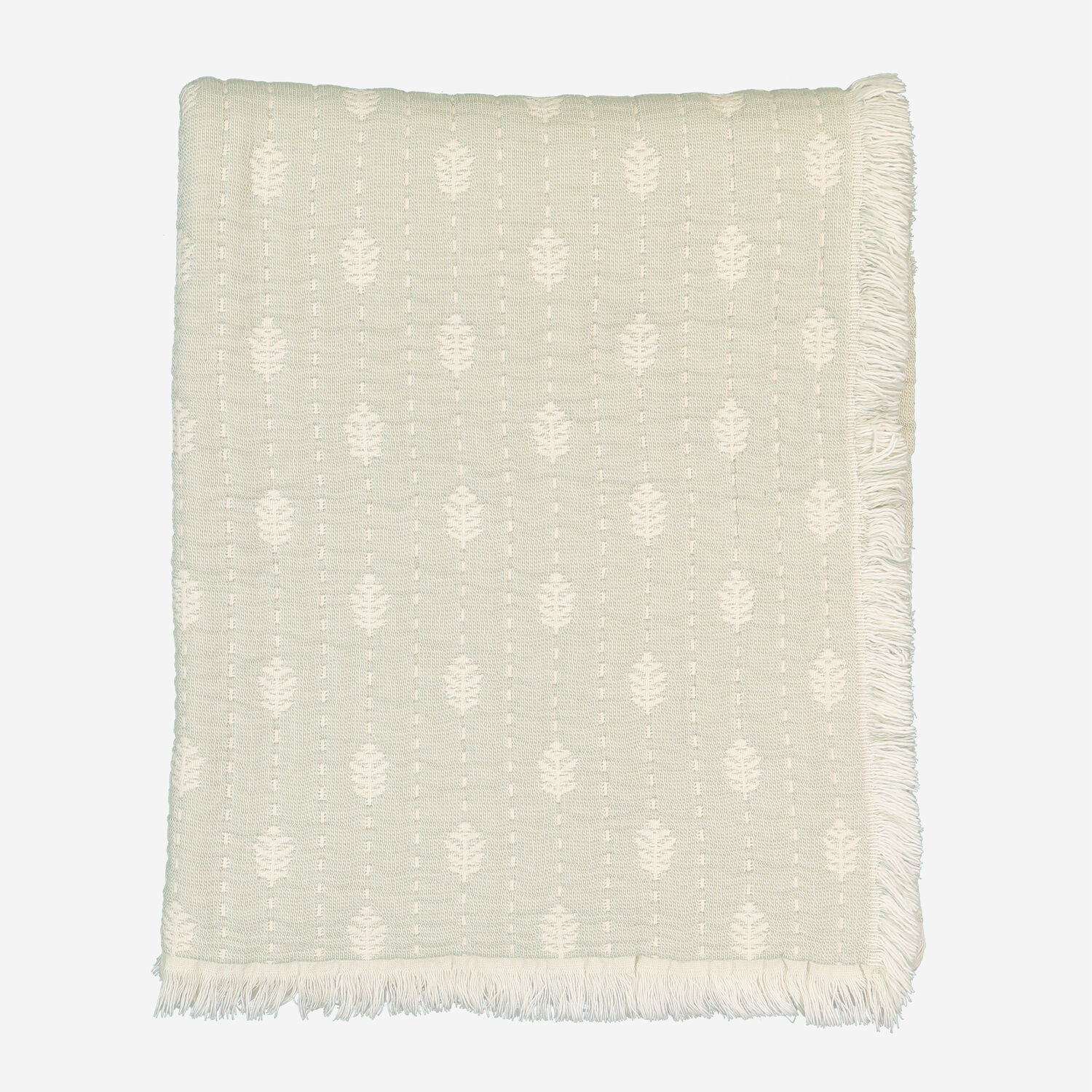 Antonio Salgado | TK Maxx