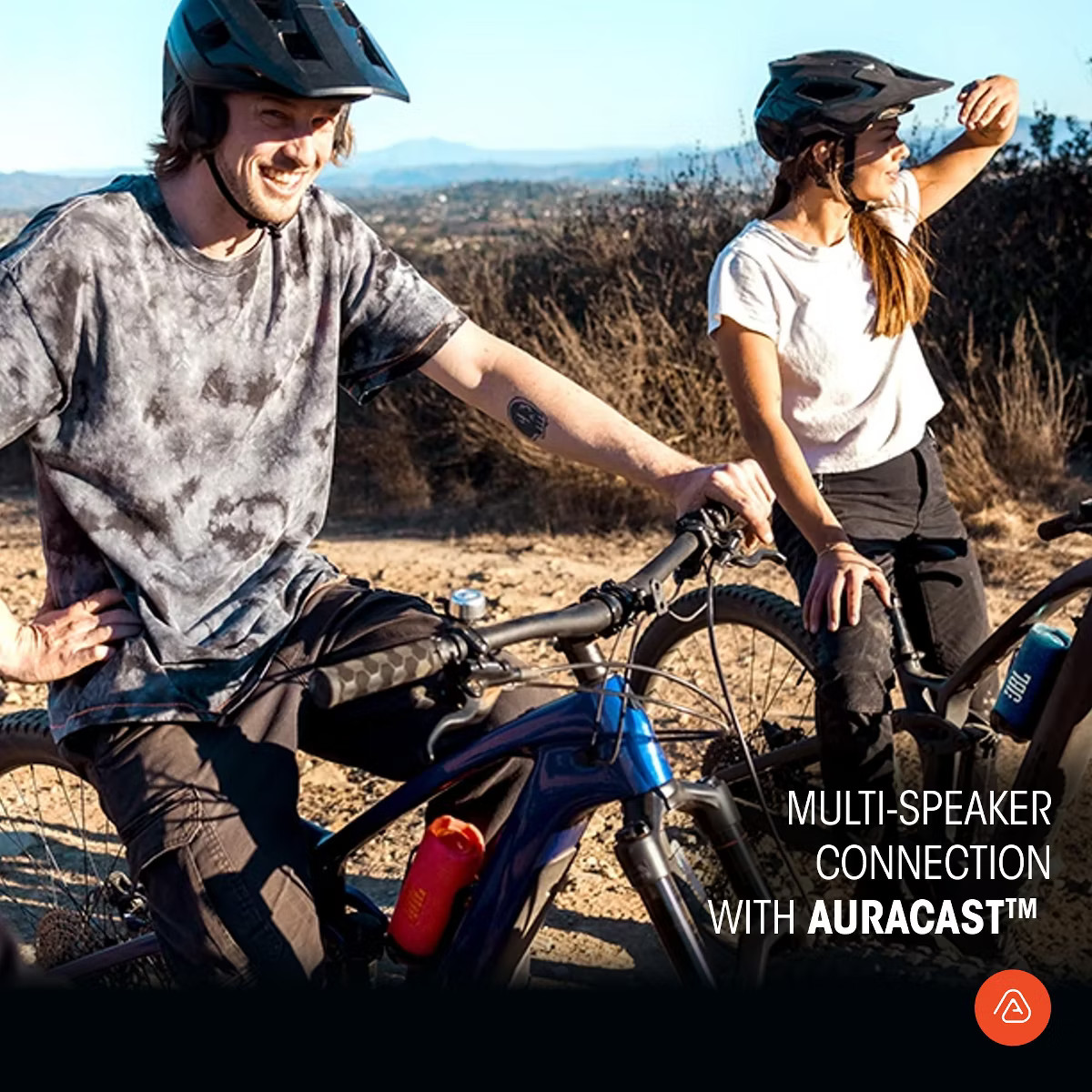 JBL Portable Flip 7 Speaker - Red | Target