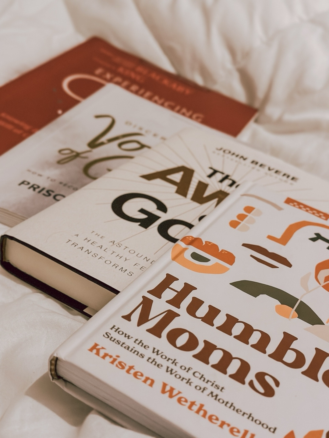 In lieu of National Book Lovers Day, I am sharing some Spiritual Development books that I’m currently reading...

1. Humble Moms by Kristen Wetherell (@kristen_wetherell)
2. The Awe of God by John Bevere (@JohnBevere) 
3. Discerning The Voice of God Bible Study by Priscilla Shirer (@priscillashirer)
4. Experiencing God Bible Study by Henry Blackaby (@blackabyministries) 

#nationalbookloversday #nationalbookloversday2024 #bookloversday #bookloversday2024 #booklover #booksarefriends
#Reader #CurrentReads #BookSuggestions #SpiritualGrowth #ChristianAuthors #ChristianResources #Lifeway #blackabyministries