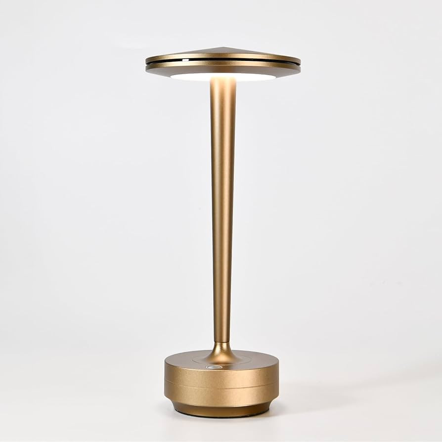 Cordless Table Lamp Rechargeable,6000mAh Battery Operated LED Desk Lamp 3 Color Stepless Touch Di... | Amazon (US)