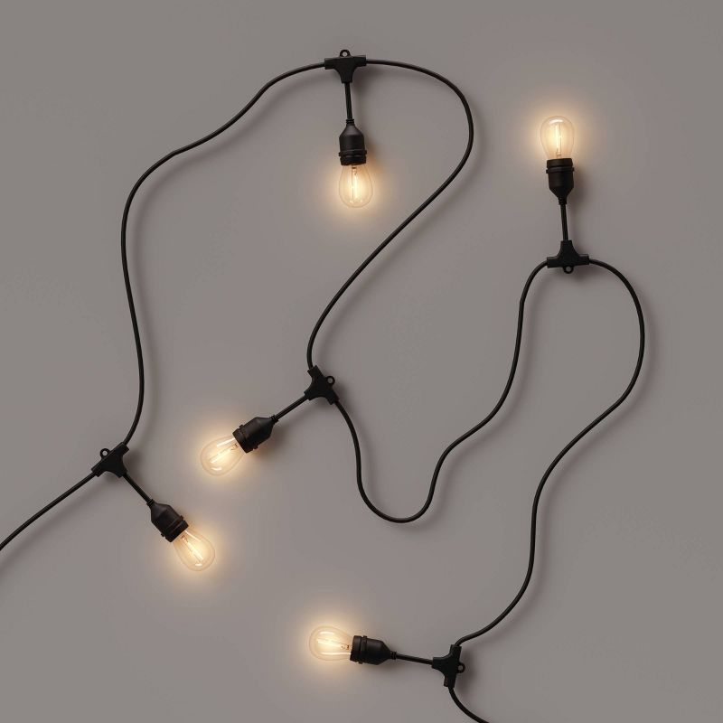 10ct Vintage LED Outdoor Drop String Lights with Tube Filaments Black - Smith & Hawken™ | Target