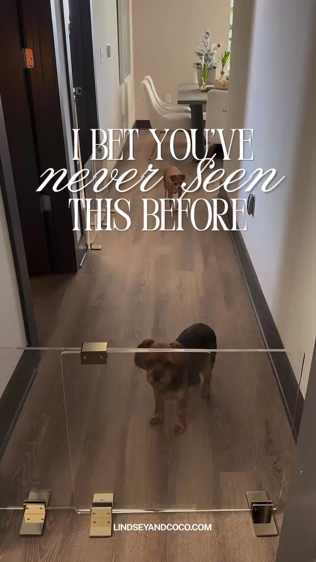 Apartment Therapy: Clear Pet Gates

Scroll to shop

#LTKPet

#LTKHome #LTKdayinmylife
