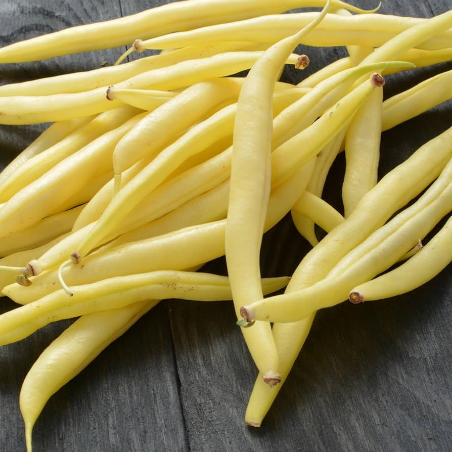 PREMIER SEEDS DIRECT - Dwarf Yellow French Bean - BERGGOLD - 100 Italian Seeds | Amazon (UK)