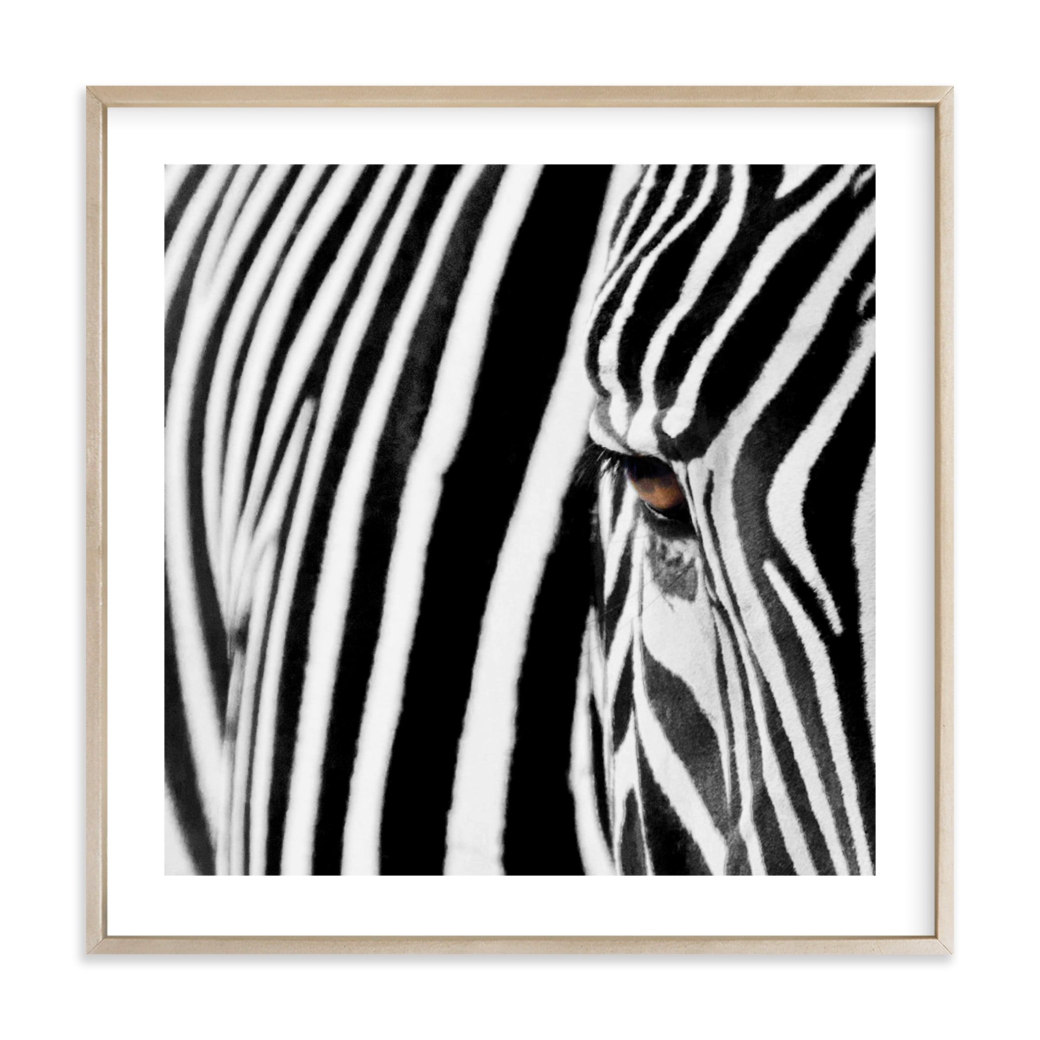 "Stripes" - Photography Limited Edition Art Print by Melissa Wagner. | Minted