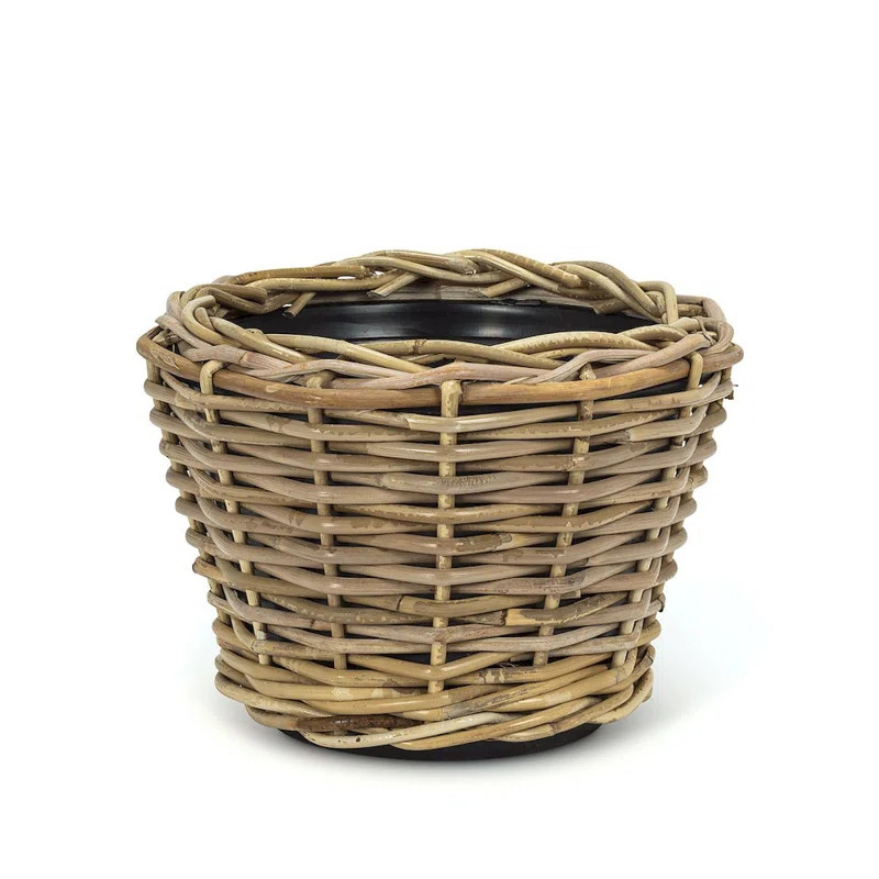 Carruth Pot Planter | Wayfair North America