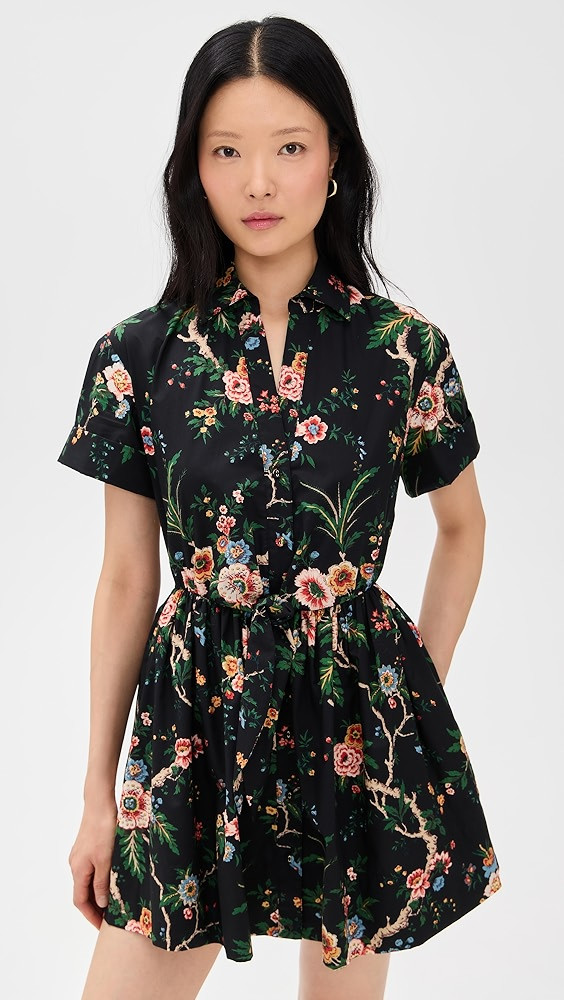 Cara Cara Asbury Mini Dress | Shopbop | Shopbop