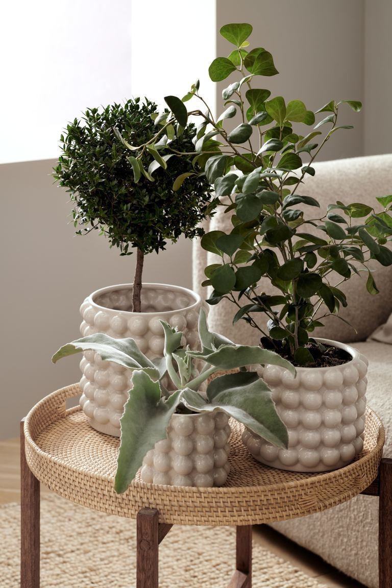 Large bubbled plant pot | H&M (UK, MY, IN, SG, PH, TW, HK)