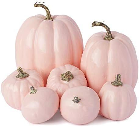 Factory Direct Craft Group of 7 Artificial Pink Pumpkins for Autumn, Fall and Halloween Decoratio... | Amazon (US)