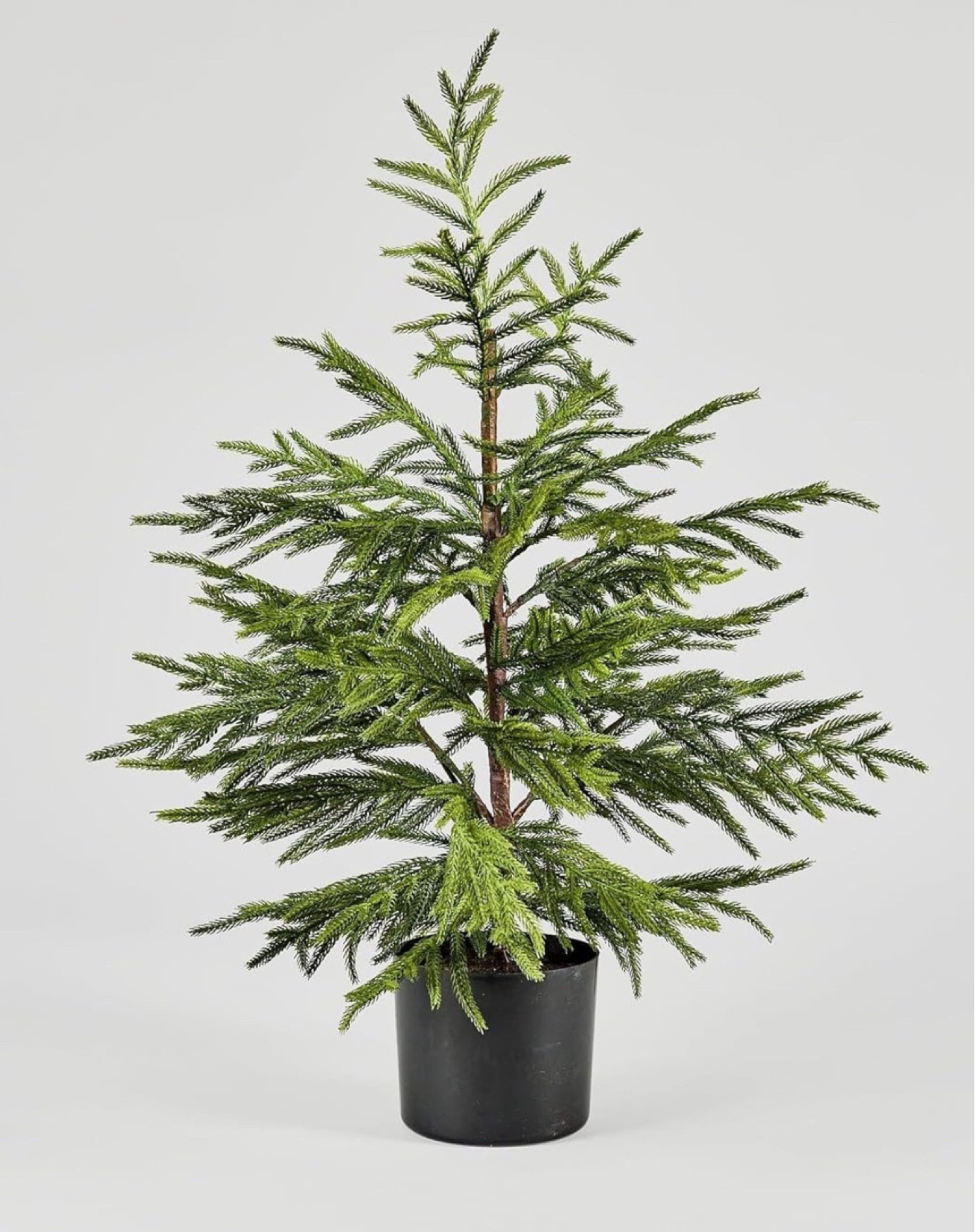 The Walmart cypress is going in and out of stock! So.. Here is a very beautiful alternative! 25% off coupon today I own this and the quality is 💯 !

#LTKHome #LTKSeasonal #LTKStyleTip