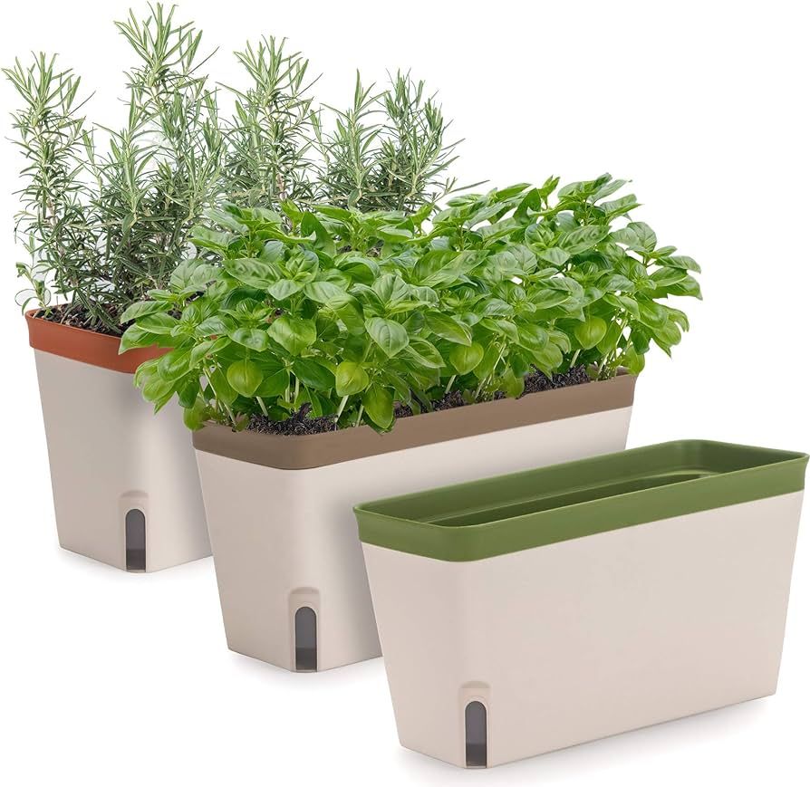 Amazing Creation Window Herb Planter Box, Vibrant Window Herb Garden, Self-Watering Rectangular P... | Amazon (US)