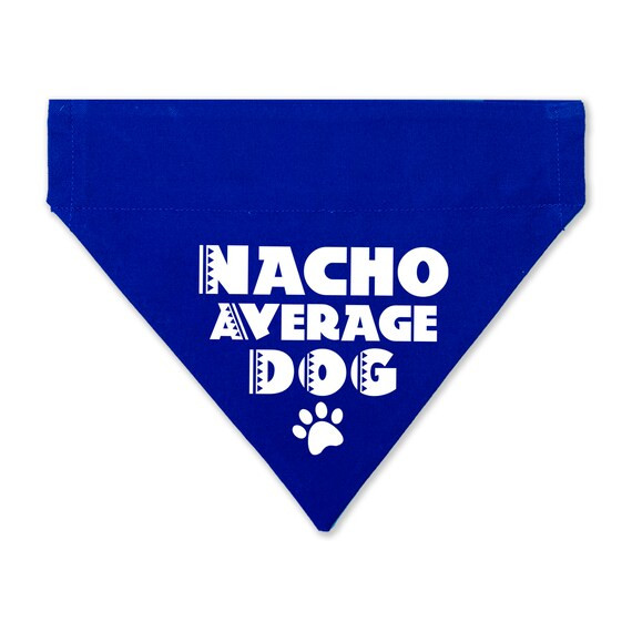 Nacho Average Dog Cinco De Mayo Pet Bandana - Cinco De Mayo Dog Bandana - Cinco De Mayo Cat Banda... | Etsy (US)