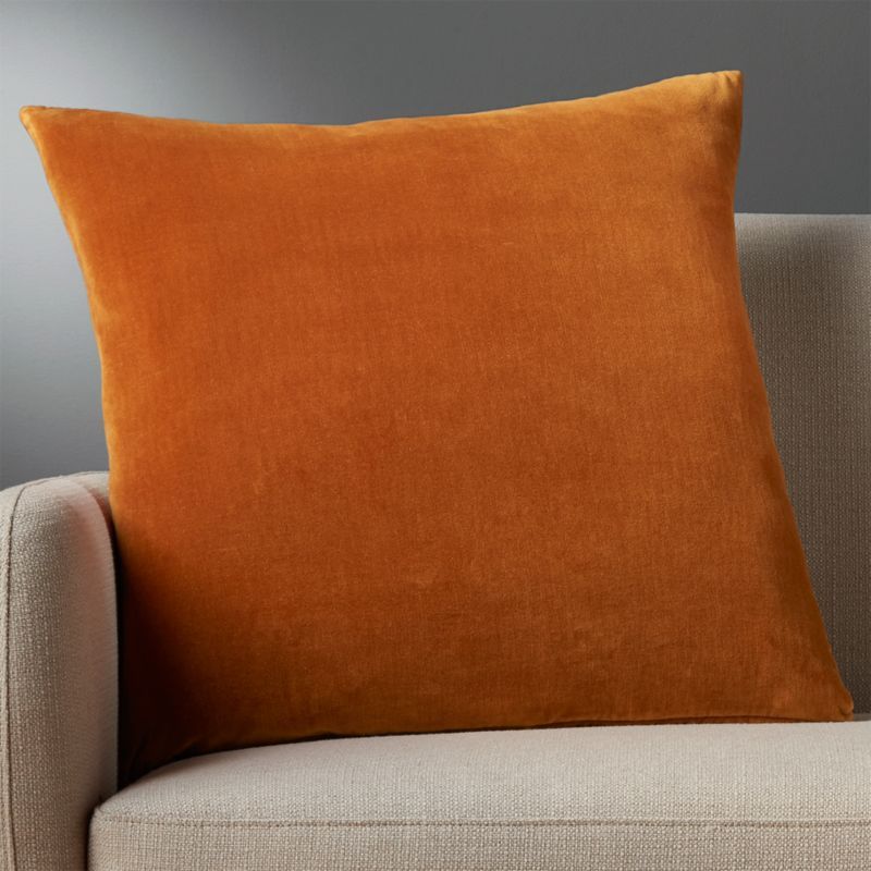 23" Leisure Copper Pillow with Feather-Down Insert + Reviews | CB2 | CB2