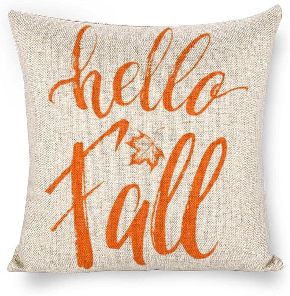 fzu Hello Fall Outdoor Fall Pillows Decorative Throw Pillows Farmhouse Thanksgiving Decorations A... | Amazon (US)