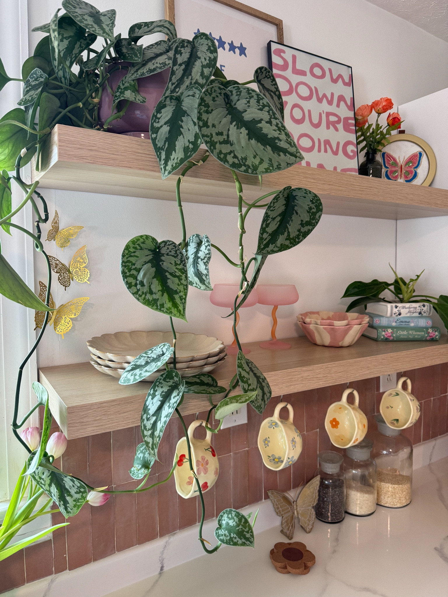 Spring kitchen decor 🌸 

#LTKSeasonal #LTKFindsUnder100 #LTKHome