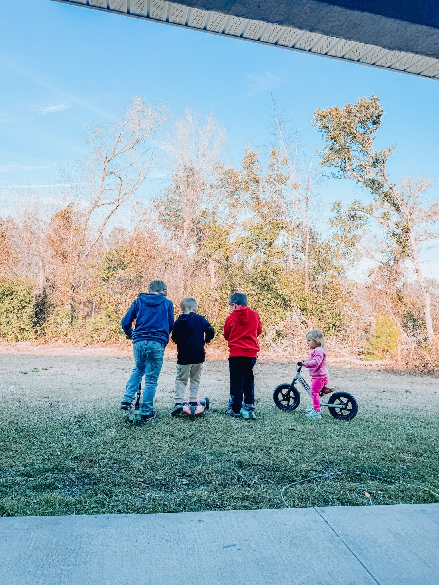 Our go to’s after school lately…Reebok sweatshirts and scooter time ✨

Walmart sweatshirts, Reebok sweatshirts, Reebok sweatshirts for kids, razor scooter, striker balance bike, balance bikes for kids, Walmart scooter, Walmart balance bike 

#LTKSeasonal #LTKFindsUnder50 #LTKKids