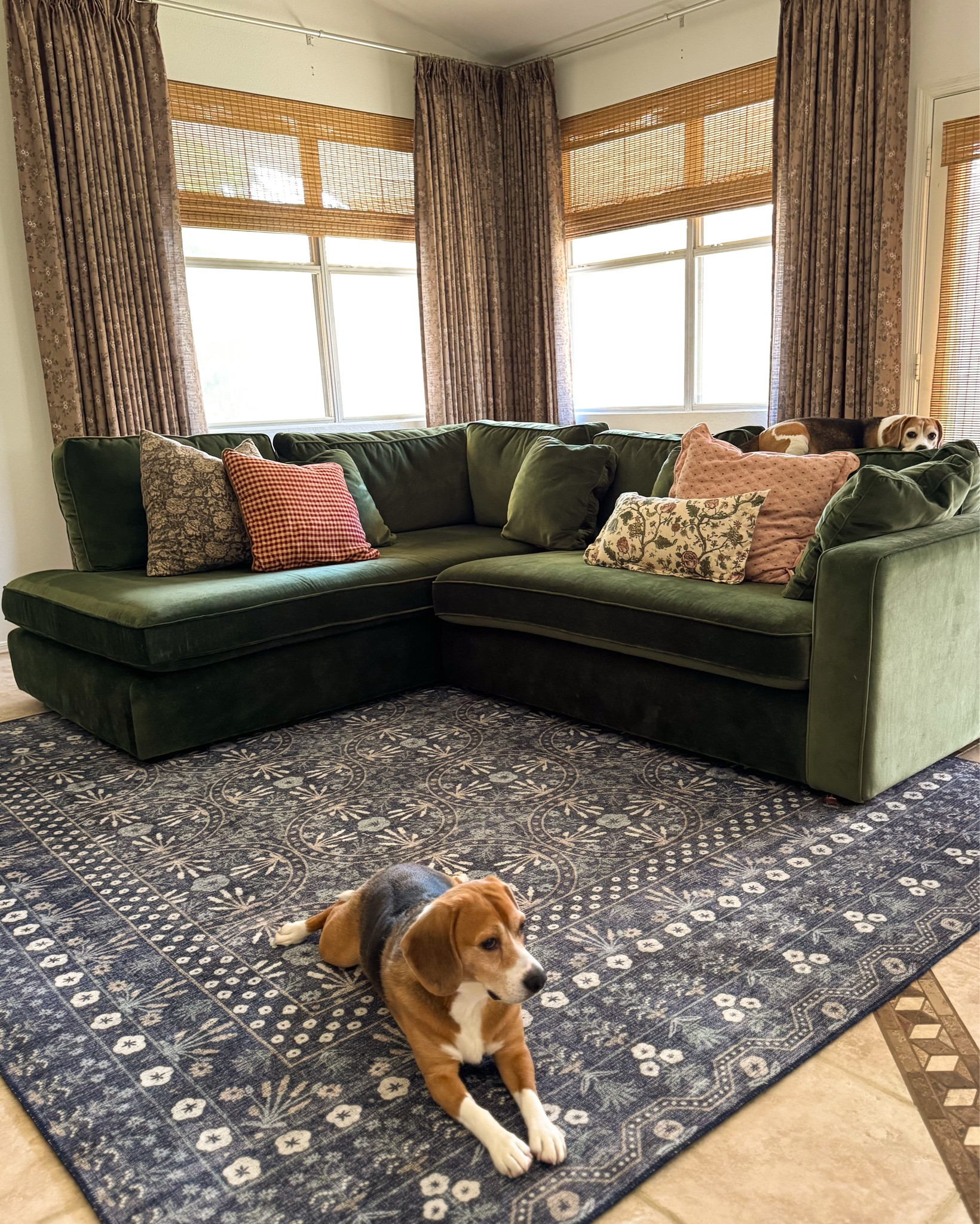 cozy living room decor. cozy moody living room with white walls. green velvet sectional (performance velvet in essex) blue area rug. 

#LTKSeasonal #LTKmomlife #LTKHome