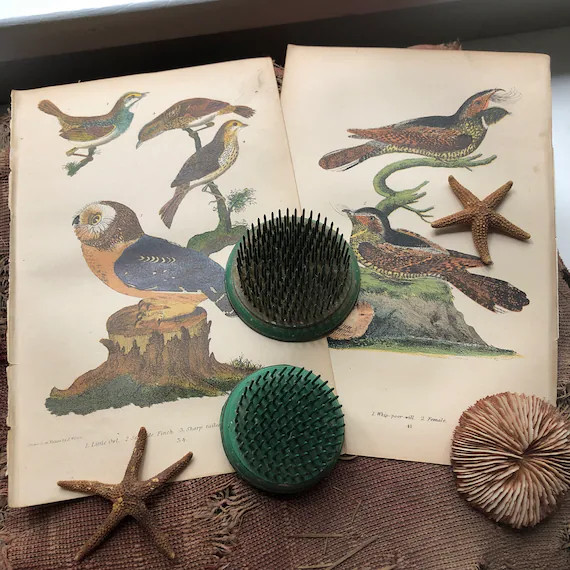 Nothing More Handy Than A Couple of Vintage Flower Frogs - Etsy | Etsy (US)