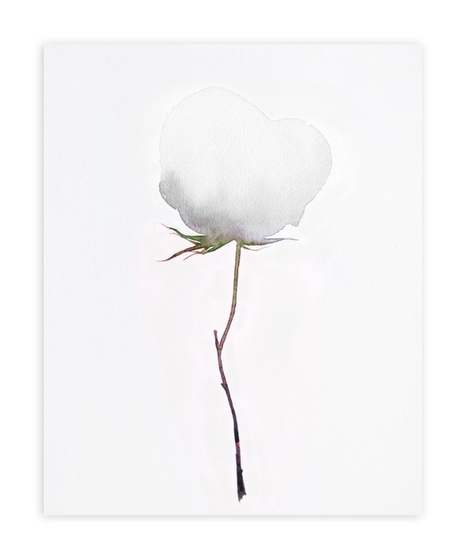 Budding Peony | Minted