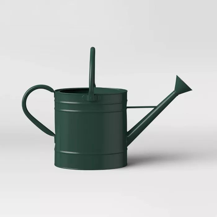 Large Steel Iron Watering Can Green - Smith &#38; Hawken&#8482; | Target