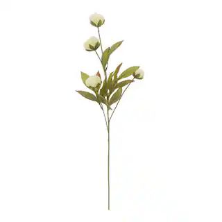 Cream Peony Stem by Ashland® | Michaels Stores