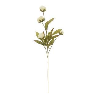 Cream Peony Stem by Ashland® | Michaels | Michaels Stores