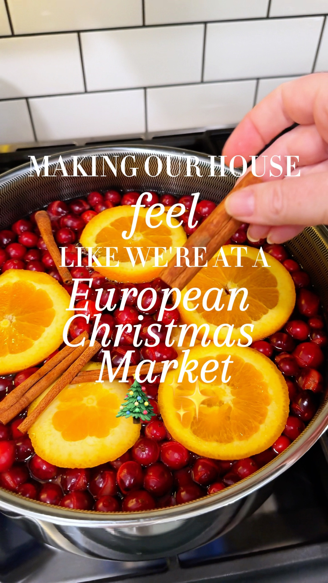 Making our house feel like we're at a European Christmas Market with this incredible smelling Christmas simmer pot perfect to get in the mood for the holidays ✨🎄🎅😄

Sometimes you've got to bring the travel vibes home 😉✈️

#simmerpot #christmas2025 #november1st #europeanchristmasmarket #christmasmarket 

#LTKHoliday #LTKSeasonal #LTKHome