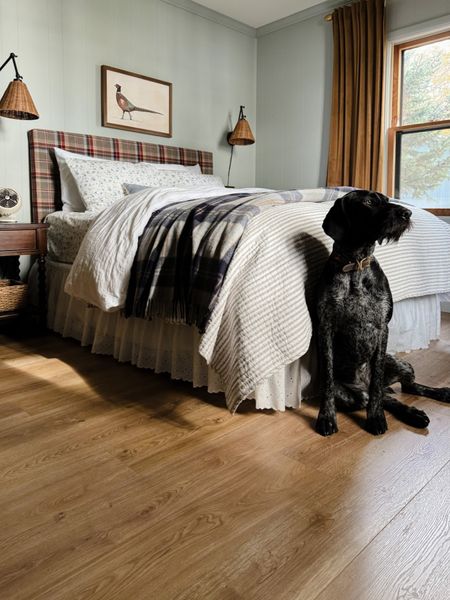 Blubell is loving the Cabin Guest room just as much as I am! All the links are tagged below!#cabinstyle #bedding #cozy #comfy #styletips

#LTKhome #LTKstyletip #LTKSeasonal