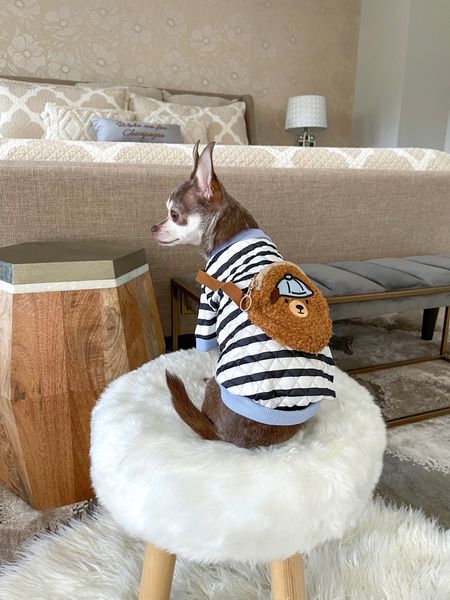 The cutest dog sweater with faux cross body bag!

#LTKSeasonal #LTKunder50 #LTKfamily
