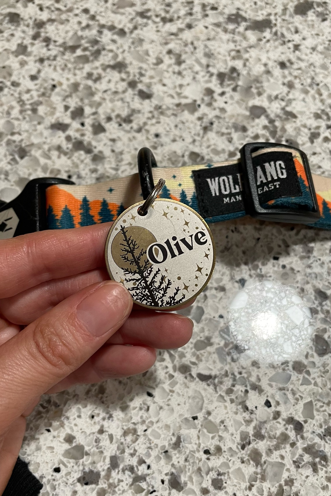 Olives custom dog tag! Can personalize the back (lots of room!), the font & there are a lot of designs to choose from! 

#petgifts #dogaccessories #gifts

#LTKunder50 #LTKGiftGuide #LTKfamily