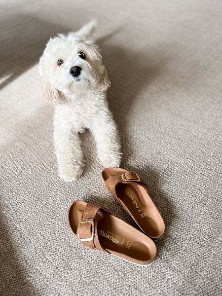 Best selling Birkenstocks of the season that are sold out. Found the store that has most sizes available! Brown leather suede one buckle with gold detail. So comfy and so cute!

#LTKSeasonal #LTKshoecrush #LTKover40