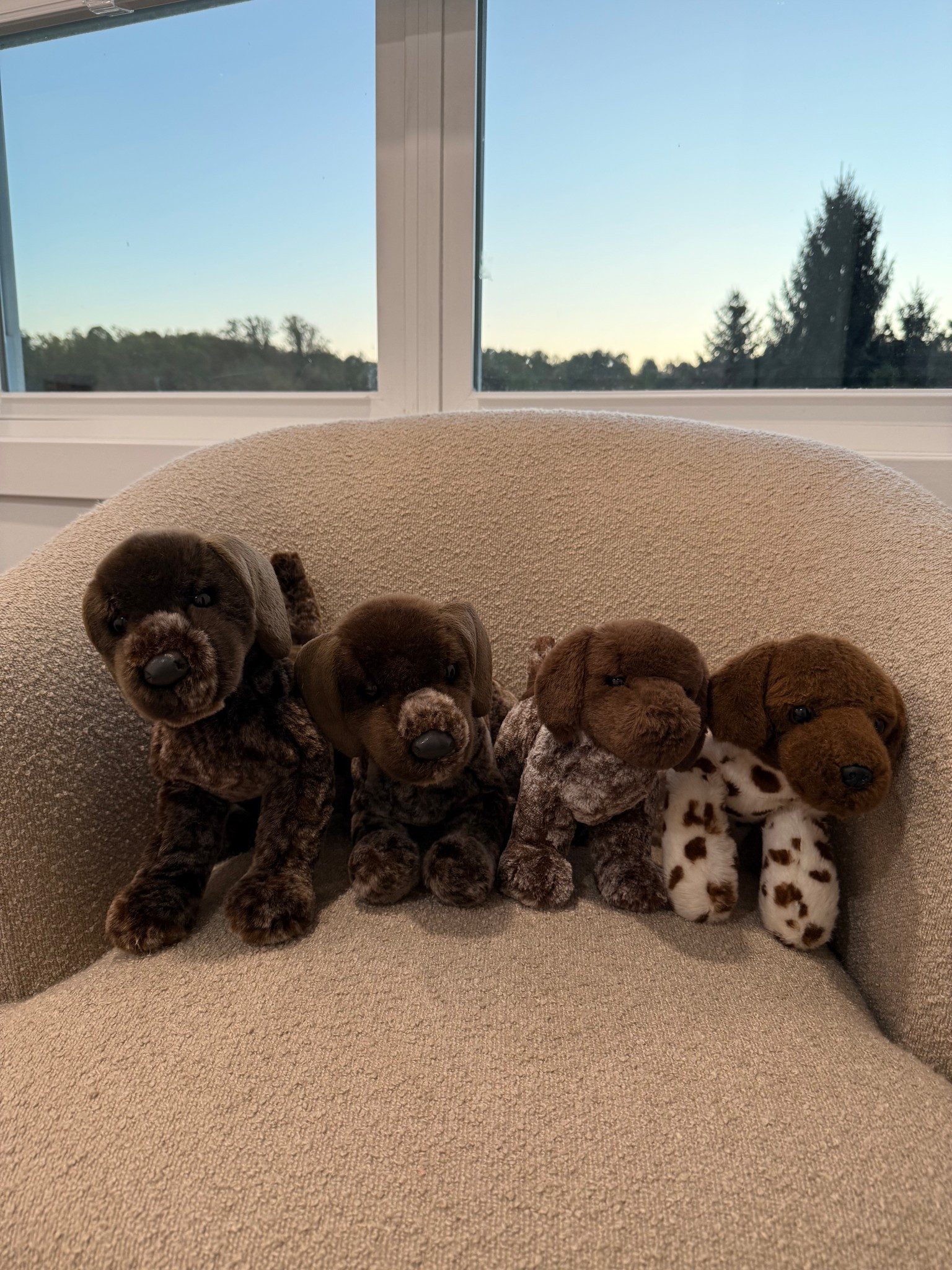 German Shorthaired Pointer stuffed animal