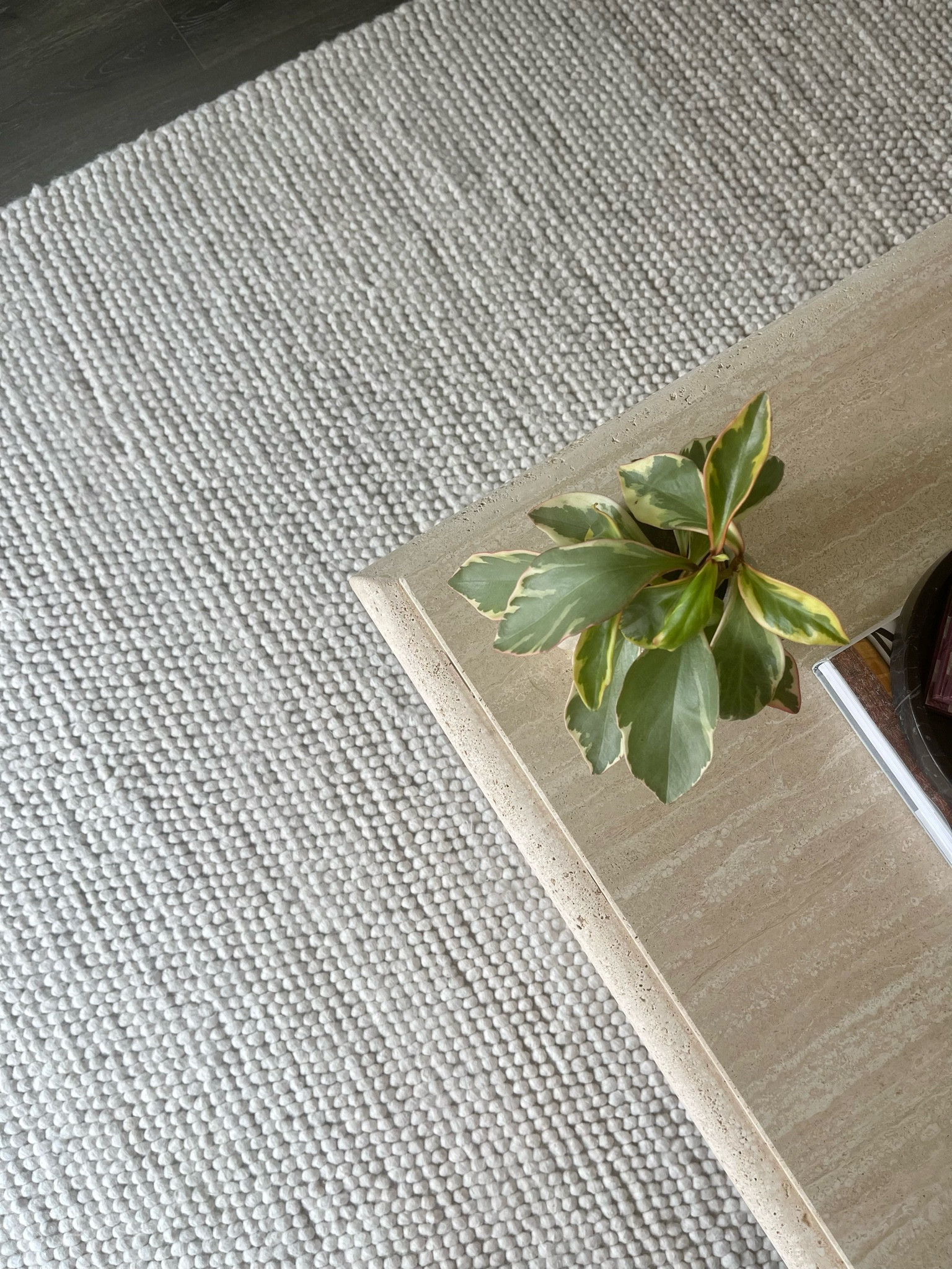 modern rug, white rug, textured rug, area rug, living room, modern home

#LTKFind #LTKsalealert #LTKhome