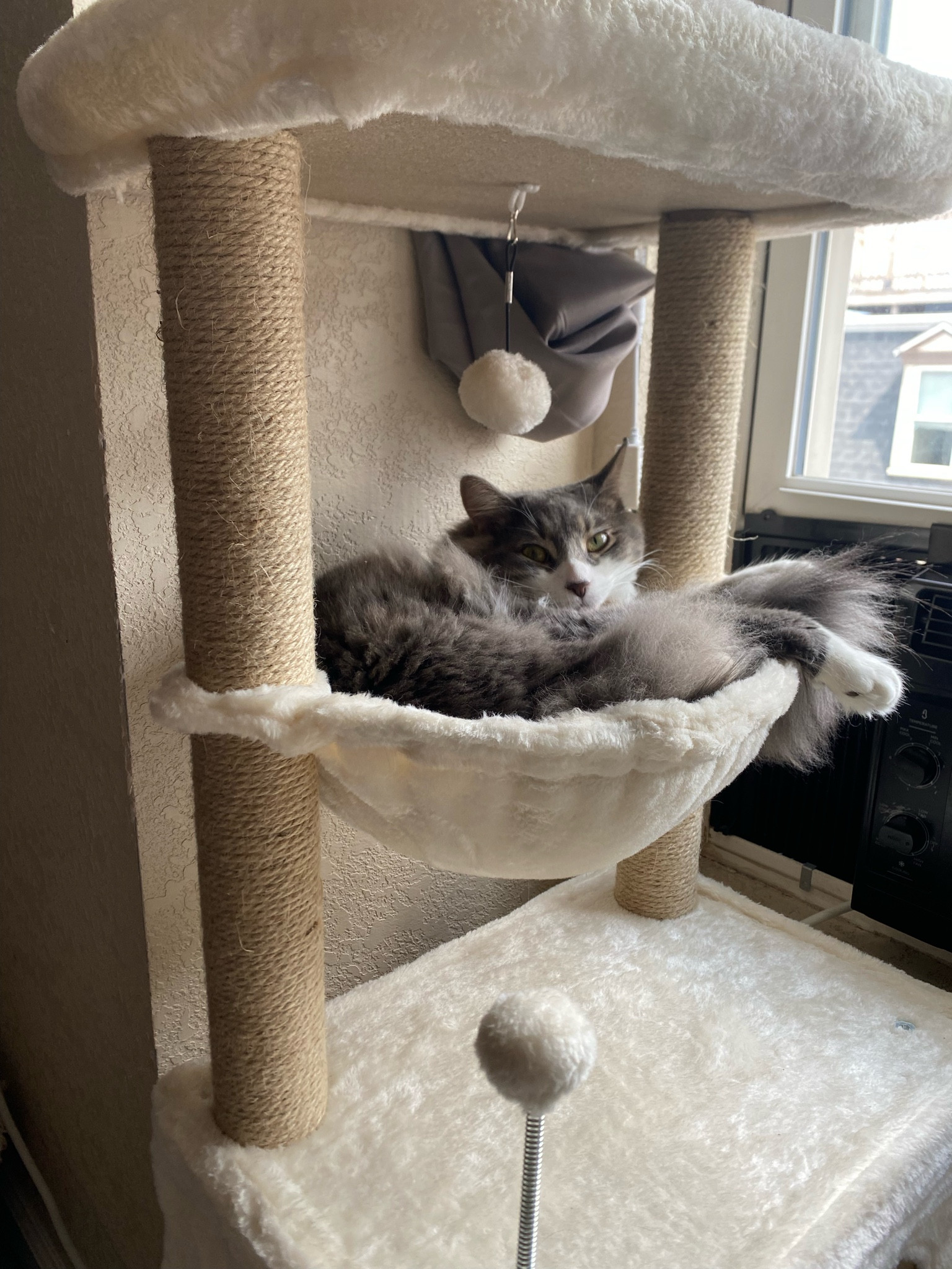 Cat tree! My kitty is absolutely obsessed. Hasn’t left the hammock in 2 days LOL 

#LTKFind #LTKunder50 #LTKhome