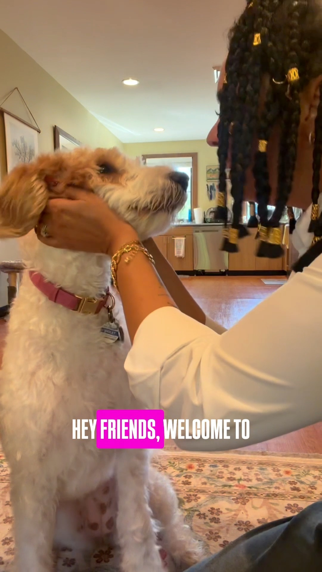 ✨ Welcome to Violet’s LTK! 🐾💜
We’re so happy you’re here! Follow along for dog adventures, daycare fun, treats, travel, and everyday chaos with Violet.

📱 You can also find us on:
🐶 TikTok
💜 Facebook
🛍️ Instagram

Drop a 🐾 in the comments if you’re part of the Violet crew! #DogMom #DogContentCreator #LTKCreator #PetInfluencer #DogsofInstagram #ViralDog #GoldenRetriever #DogReels #PetTok

#LTKdayinmylife #LTKvlog #LTKmomlife
