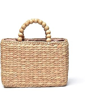 Ann & Bryan Designer Water hyacinth Handbags for Women Handmade Artisan Purse with Wooden Beaded ... | Amazon (US)