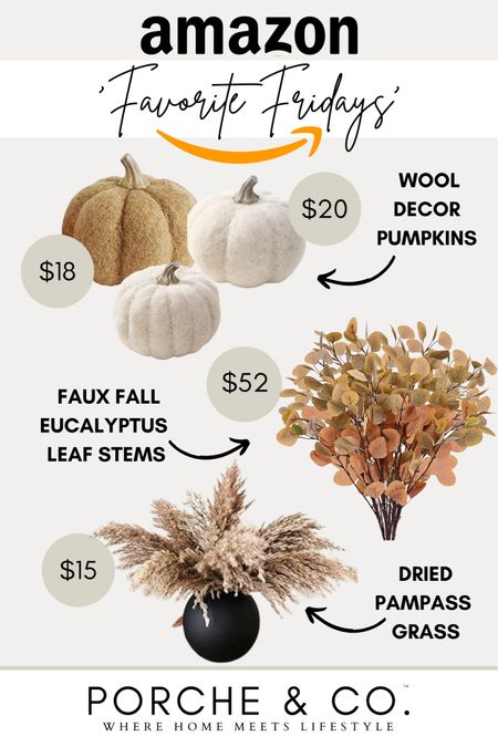 Amazon Favorites Friday Fall edition - wool pumpkins, faux fall stems, pampas’s grass 🙌🏻 Affordable prime favorites for your home #amazon #pumpkins #fall #pampass #pampas #stems #faux

#LTKSeasonal #LTKhome #LTKsalealert