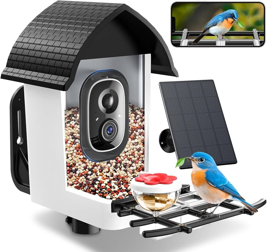 Bird Feeder with Camera - 2K HD Live View, AI Identification & Instant Alerts, Weatherproof for O... | Amazon (US)