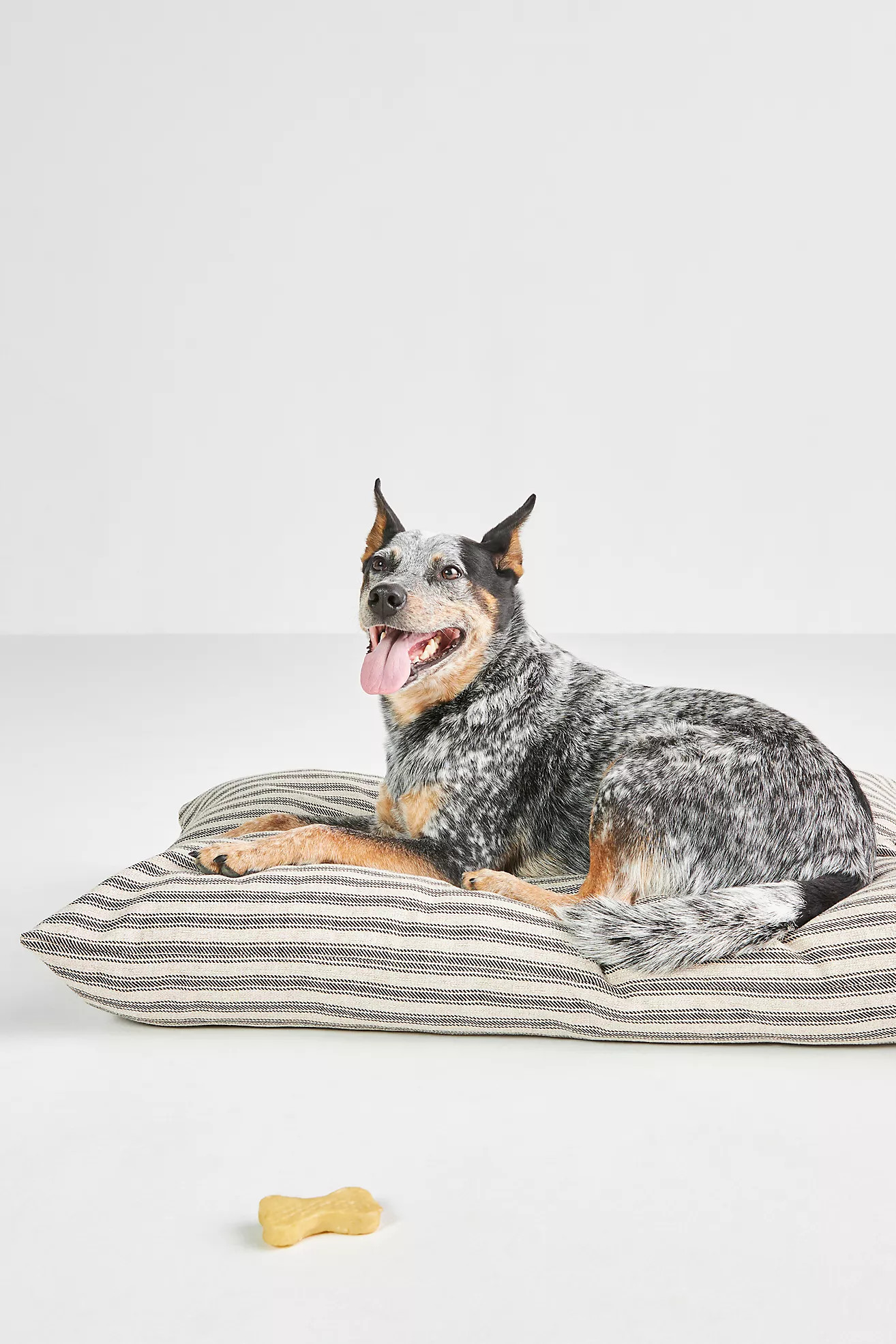 The Foggy Dog Plush Dog Bed | Anthropologie (US)