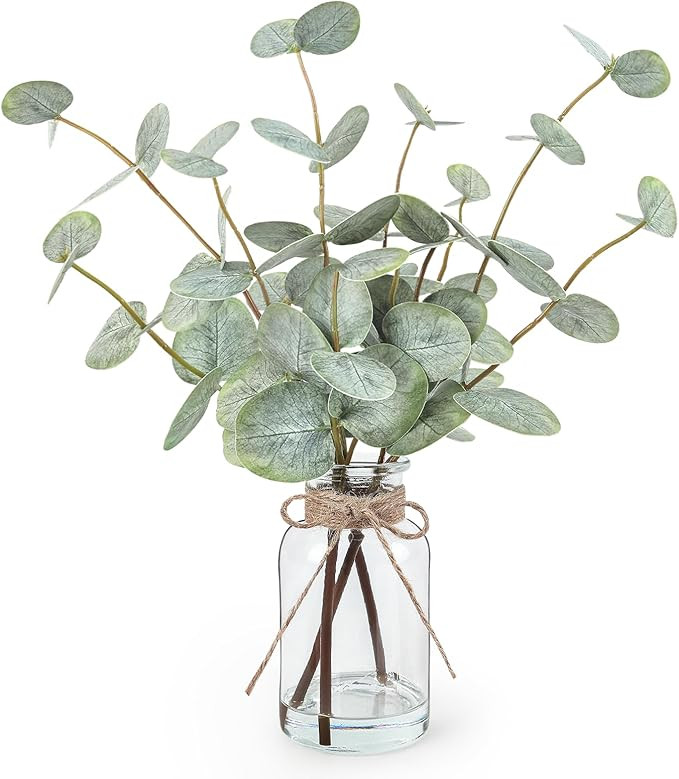 Artificial Eucalyptus Stems in Glass Vase with Faux Water, 13.5” Fake Plants for Home Decor, Co... | Amazon (US)