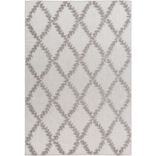 Surya | Dashing Trappings