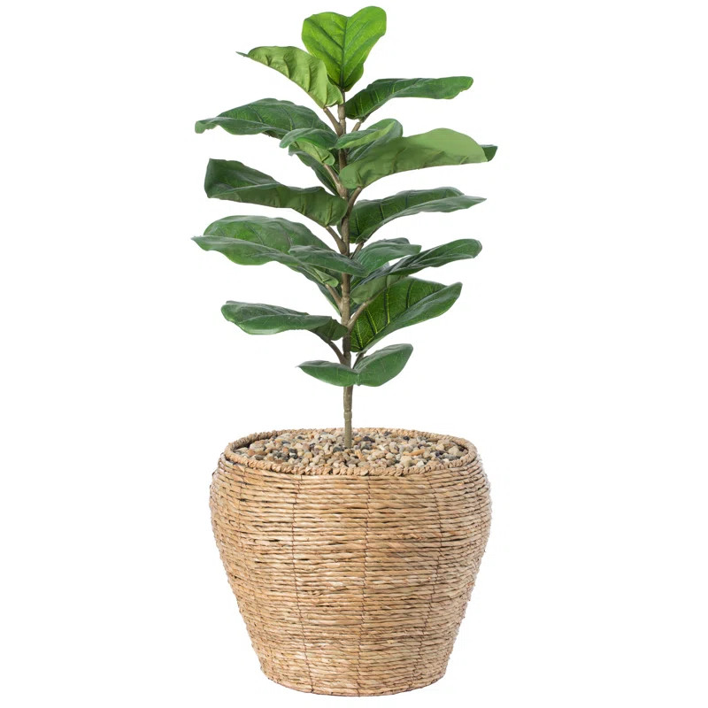 Mckee Self Watering Wicker Pot Planter | Wayfair North America
